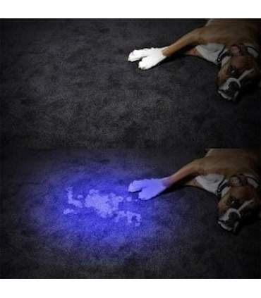 Tragbare Mini-Taschenlampen-UV-Lampe