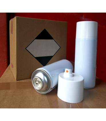 Sprühdosen zu füllen (6er Karton)