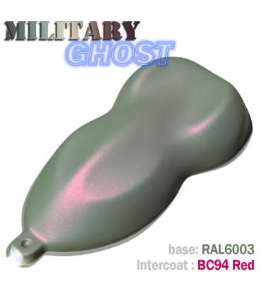 Auto-Lackierset im MILITARY GHOST-Look – 16 Farbkombinationen