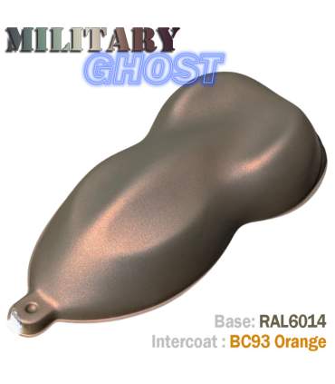 Auto-Lackierset im MILITARY GHOST-Look – 16 Farbkombinationen