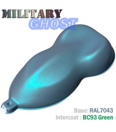Auto-Lackierset im MILITARY GHOST-Look – 16 Farbkombinationen