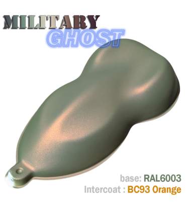 Fahrrad-Lackierset im MILITARY GHOST-Look – 16 Farbkombinationen