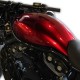 Die Perlmuttfarben für Motorräder